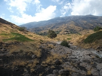 rrente Quarantore-20110911 170